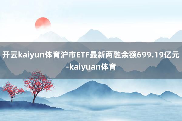 开云kaiyun体育沪市ETF最新两融余额699.19亿元-kaiyuan体育