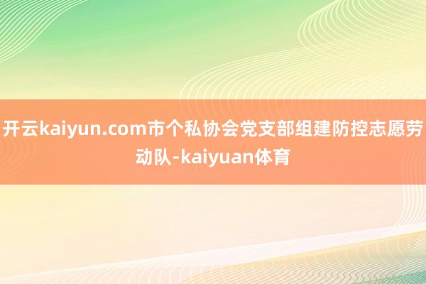 开云kaiyun.com市个私协会党支部组建防控志愿劳动队-kaiyuan体育