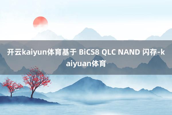 开云kaiyun体育基于 BiCS8 QLC NAND 闪存-kaiyuan体育
