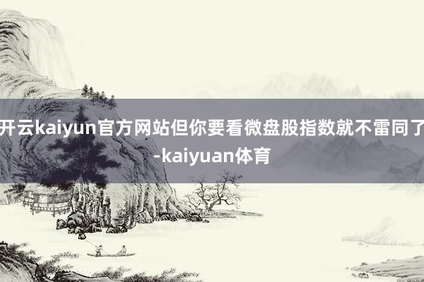 开云kaiyun官方网站但你要看微盘股指数就不雷同了-kaiyuan体育