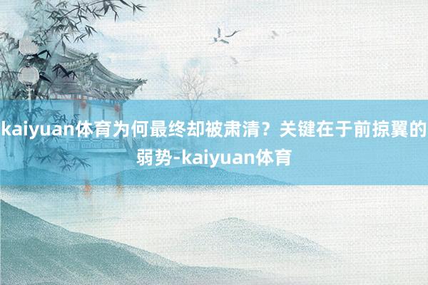 kaiyuan体育为何最终却被肃清？关键在于前掠翼的弱势-kaiyuan体育