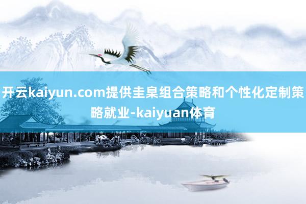 开云kaiyun.com提供圭臬组合策略和个性化定制策略就业-kaiyuan体育