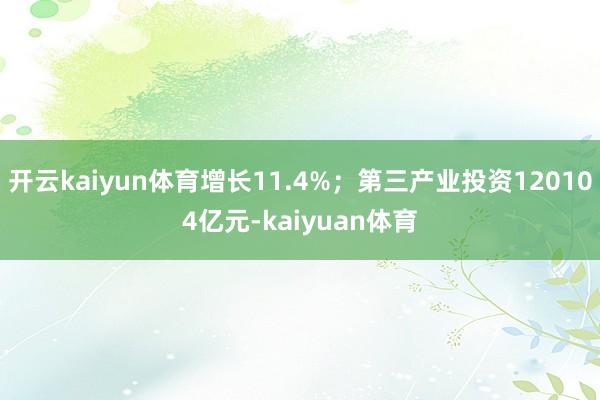 开云kaiyun体育增长11.4%；第三产业投资120104亿元-kaiyuan体育